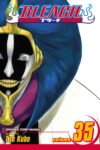 Bleach Volume 35