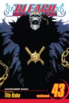 Bleach Volume 43