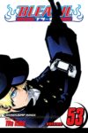 Bleach Volume 53