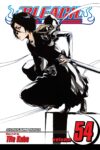 Bleach Volume 54