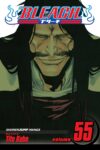 Bleach Volume 55