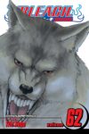 Bleach Volume 62